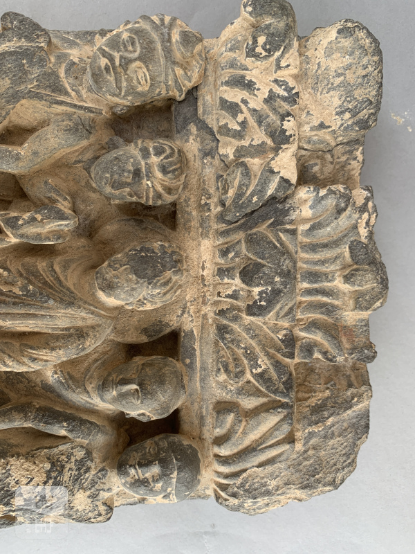 A GREY-SCHIST FRIEZE - 图9